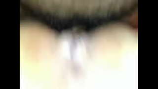 Mi rau lety miando mi mexico